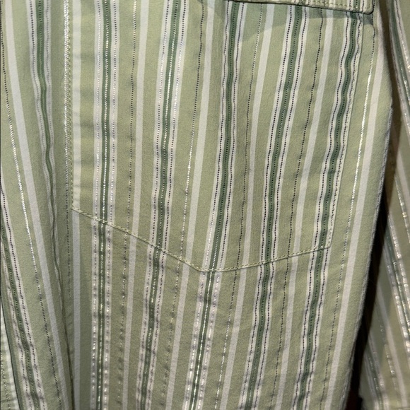 Butterfly Design Striped Cream Blouse green stripes are glittery.Hardly Worn - Picture 6 of 8